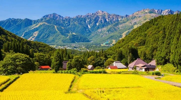 গরমে বেড়েছে রোগীর সংখ্যা, হাসপাতালে স্যালাইন সংকট